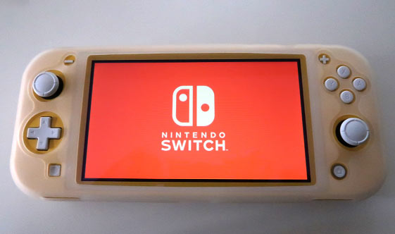 ニンテンドースイッチスイッチライト購入！開封と商品レビュー【Nintendo Switch Lite】 - ニンテンドースイッチFAN