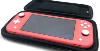 ニンテンドースイッチライトはポーチ（ケース）に入れて使ってる？